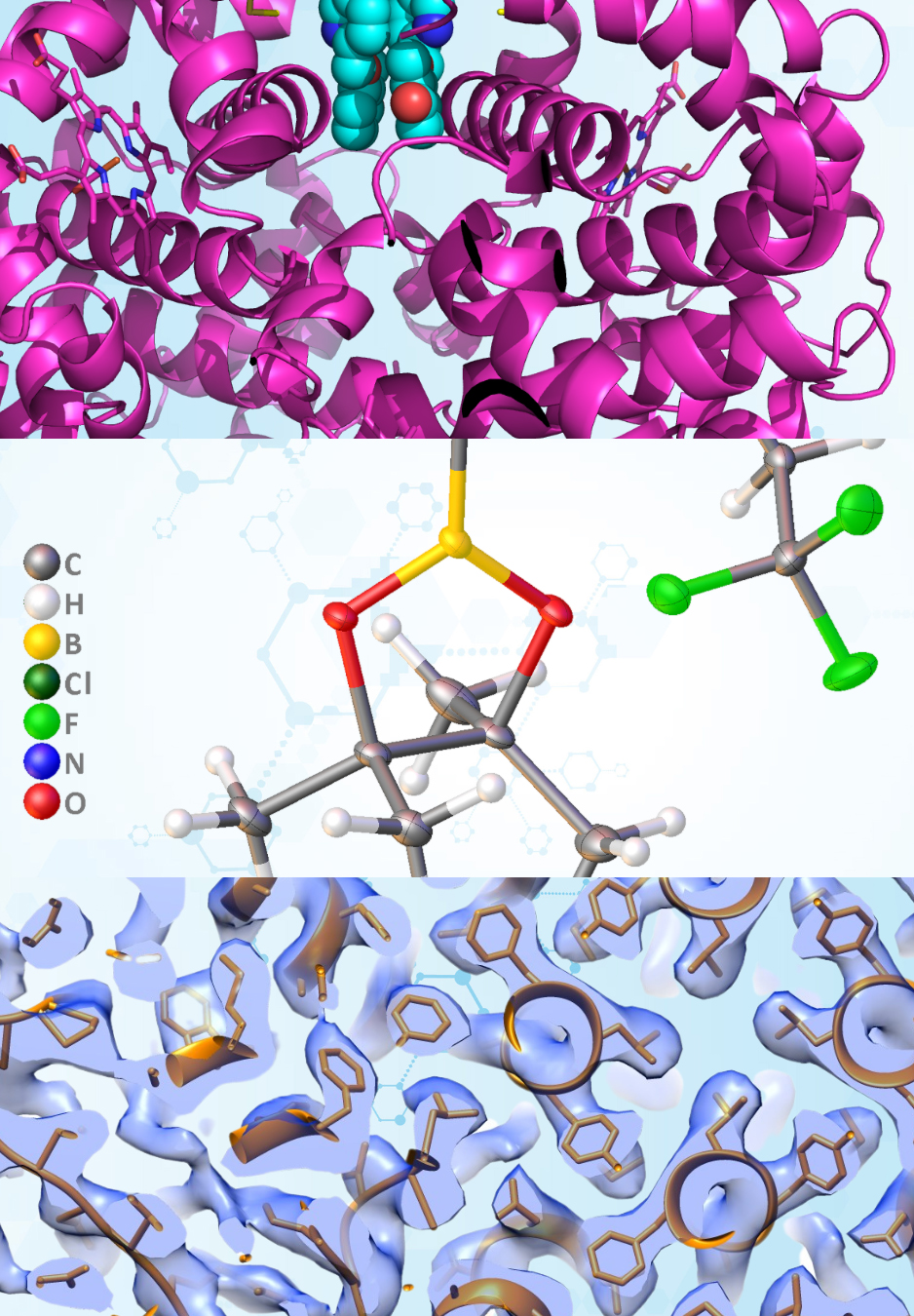 Structural biology image